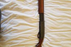 Remington 870 Pump Action, This Remington 870 Magnum pump action shotgun with extended ammunition tube is in great condition and an absolute bargain at the price.