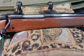 Winchester Rifle, Excellent Condition