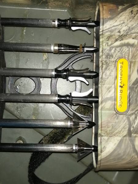bear compound bow serial number lookup
