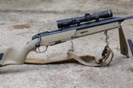 WANTED - Steyr Scout .308