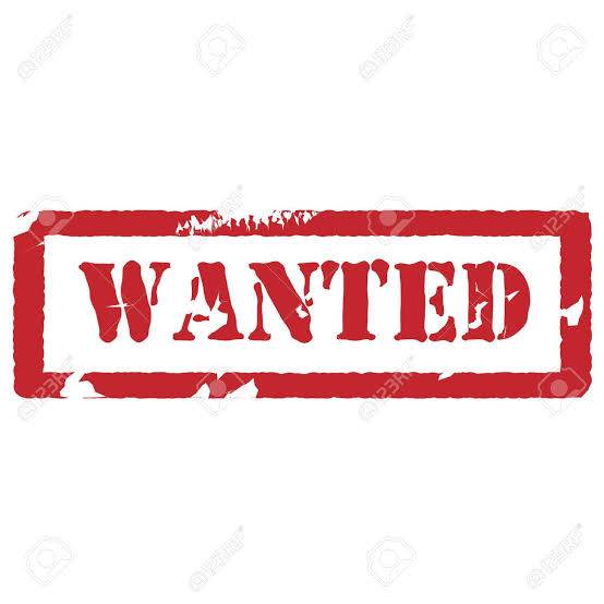 Wanted: .41Magnum & 10mm revolver